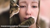 猫咪耍流氓强吻女主人 网友：放开那个妹子让我来！