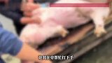 “猪肠没弄干净”，62岁女子说完这句话，被屠夫儿子从背后一刀砍死