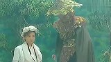 原来藏镜人就是冷霜子,武功称霸江湖,还想一统江山!