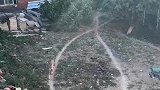 狗子每天按照固定路线散步，草地都被踩出了痕迹