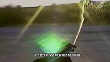 海浪来袭，狗狗叼起小主人往岸上拉，有一种危险叫狗狗觉得危险