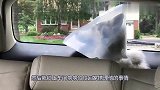 主人把二哈遗忘在车上，这货在车里鬼哭狼嚎，真想惊动全小区？
