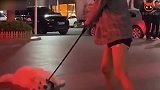 爆笑：伴郎掉包新娘，不过伴郎看起来也很享受