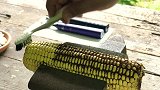 老外拿电动牙刷刷玉米，结果还没普通牙刷刷的干净，场面非常尴尬