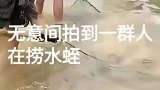 无意间拍到一群人在捞水蛭