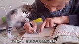 小猫咪怎么说我也是小学本科毕业的，你的作业交给我了！