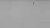 南方同学第一次看到东北大雪，直接跑到操场上撒欢儿