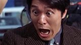 寻猫时喵星人眼中的你 可怜的毛孩子都承受了啥