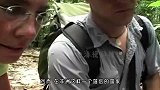 蚂蚁还可以缝合伤口？非洲地区很常见，伤口愈合还会自动脱落