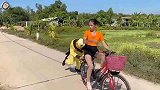悟空八戒老实点吧，你总是最受伤那个，爆笑西游！