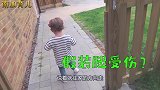 小娃耍小心思不想去上学，被宝爸秒识破，还是太嫩！