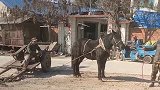 农村老大爷板车超载，毛驴蹄子都磨出火花，真是心疼毛驴