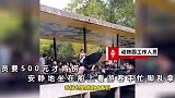 动物园游客手机掉水里拿网捞，工作人员要500才肯帮忙？园方回应