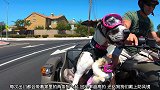 狗狗戴上防风镜坐在摩托车上，与铲屎官一起出来溜达