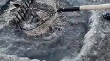 别眨眼，看我捞到什么了