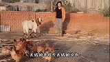 孩子啊 你可别忘了 你爸可是练过散打的