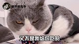 好家伙！葫芦娃续集没你我都不看！