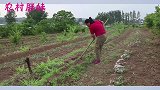 胖妹拿公公白酒烧肉，一盆饭6斤五花卤肉，公公一口没吃上，过分
