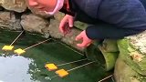 大叔在池塘钓黄鳝，没想到这货太猛了，没钓上来还把鱼钩赔进去了