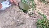 唯一一条难走的路，被他成功找到了