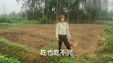家里种的菜多得很，大姐今天进城给朋友送菜，一点点小心意
