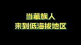藏族人来到低海拔的地区