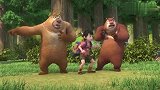 熊出没：琳姐咋啥都想拿，这个激怒了森林之王，完蛋了