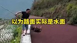 漂浮在水面上的植物很容易让人误以为是路面导致掉水里