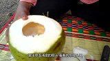 靓女在椰壳中放3个“鸡蛋”，做法独特不敢尝，出锅直吧唧嘴！