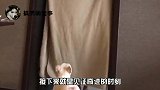 见过遛狗的遛猫的，你见过遛苍蝇的吗