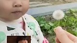 萌娃第一次吹蒲公英，从开始的好奇到被吓出表情包