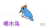 动物简笔画大全，画蓝色啄木鸟简笔画