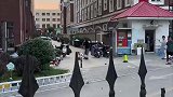 一定是路障先动的手，小狗咬住不松口