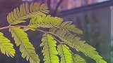 托微风送信，我在冬日的暖阳里等你