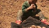 农村的孩子，饿了直接生啃地里的土豆，真是太可怜了！
