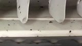 第一次清洗空调，看的我都怀疑人生了，这里面的脏东西是什么？