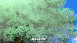 狐妖小红娘：催泪来袭，笑着笑着我们就哭了！