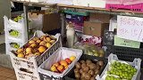 网友买水果偶遇猫老板