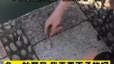天下武功，唯快不破鱼：放开我我不要面子的