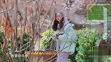吴宣仪桃花树下许愿，嘴里念叨：我要谈恋爱！太可爱了