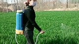 老公在外面开车挣钱，我就把庄家活干的漂亮点，让他没有后顾之忧