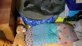 我是菠小萝