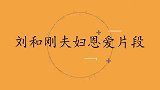 刘和刚唱《敖包相会》忘词，妻子开口更惊艳！刘和刚夫妇恩爱片段