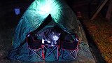 夜晚住在帐篷里的小猫咪，看这守夜的模样，竟是如此的可爱！