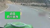 女子驾车在高原路上跑