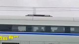 高铁在飙车，交警队的回复也是挺无奈的