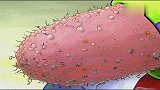 海绵宝宝：珊迪的实验，让海绵宝宝和派大星互相争吵，这下遭了！