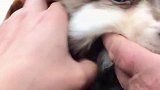 有种冷叫奶奶觉得你冷