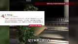 起猛了！景区“绿植”自己抱盆狂奔上班，工作人员：他快迟到了