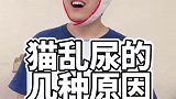 猫乱尿的几种原因你知道吗